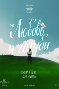 Любовь и голуби