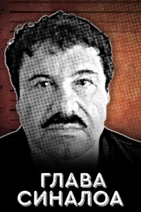  Глава Синалоа 