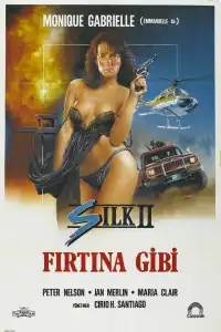 Шелк 2