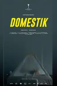  Домашний режим 