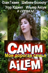  Дорогая моя семья 