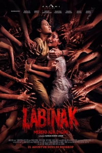  Лабинак: Они здесь 