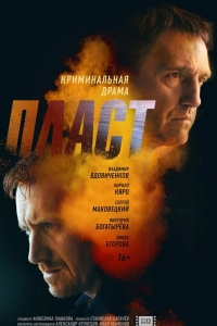  Пласт 