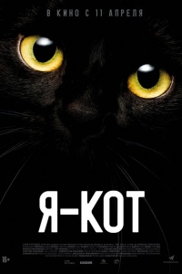  Я — кот 