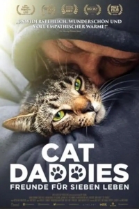  Котики 