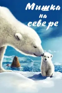  Мишка на Севере 