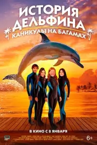  История дельфина: Каникулы на Багамах 