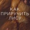 Как приручить лису