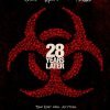 28 лет спустя