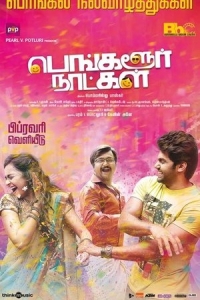  Бангалорские дни 