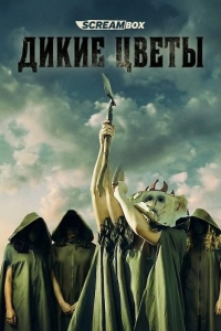  Дикие цветы 