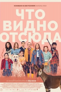  Что видно отсюда 