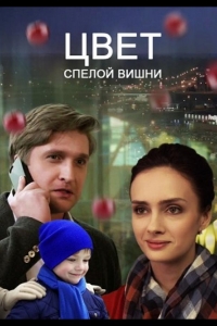  Цвет спелой вишни 