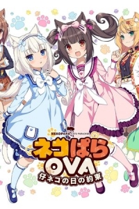  Кошачий рай: Обещания кошечек 
