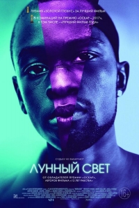  Лунный свет 