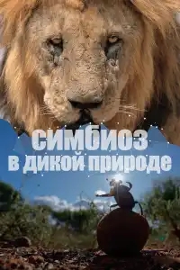  Симбиоз в дикой природе 