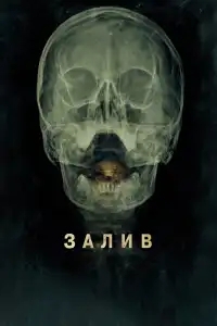  Залив 