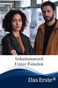  Убийство в тени: Среди врагов 