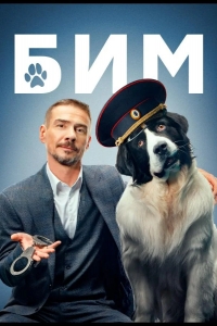 БИМ