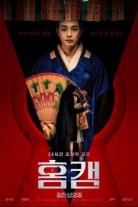  Домашняя камера 