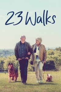  23 прогулки 