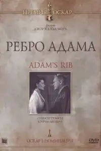  Ребро Адама 