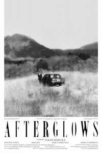  Послесвечения 