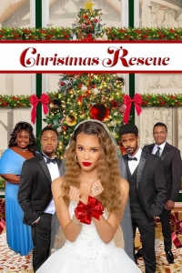  Рождественское спасение 