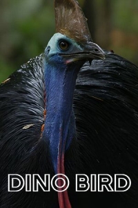  Птица-динозавр 